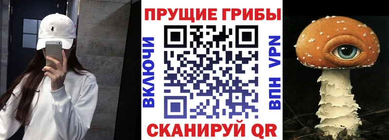 даркнет сайт  Андреаполь  Галлюциногенные грибы прущие грибы 